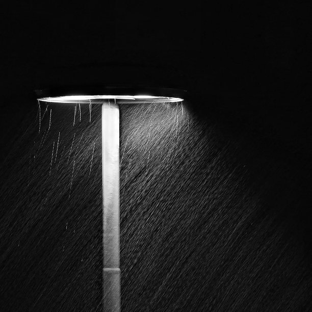 雨中的灯图片下载