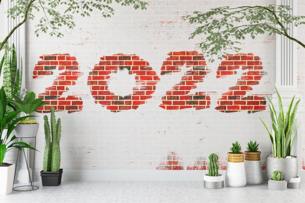 绿色植物和砖墙的2022年新年概念图片下载