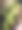 热带植物和花卉园艺购物区图片下载