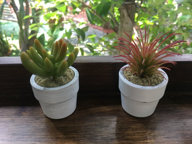 窗户旁边的小花盆图片下载