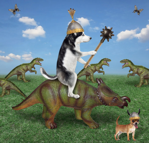 戴着狼牙棒的哈士奇骑着三角龙图片下载