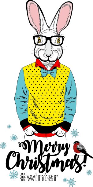 可爱的兔子穿着人体衣服。图片下载