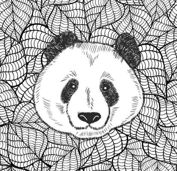 可爱的中国熊猫头。图片下载