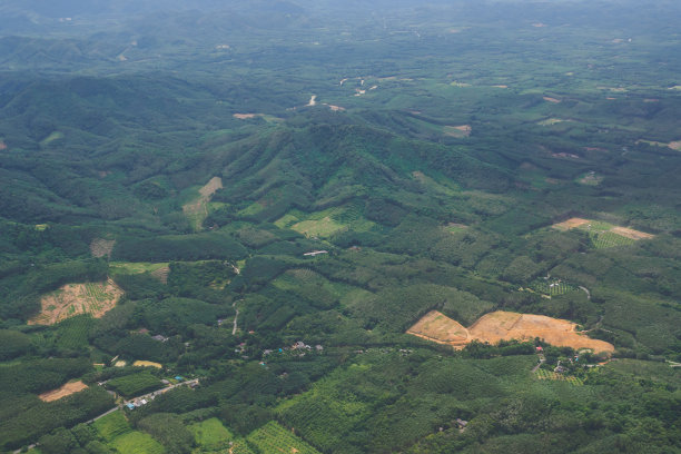 鸟瞰图从森林，山脉，草地和丰富的人工田的顶部视图。图片下载