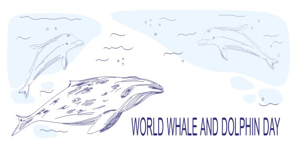 蓝鲸和海豚在海里游泳。图片下载