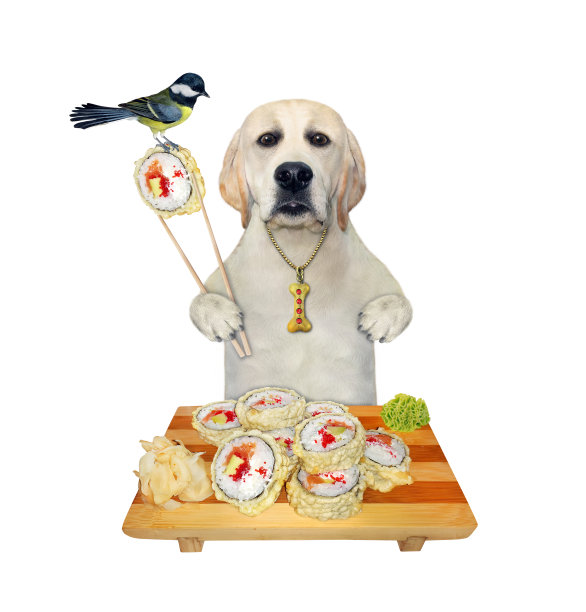 拉布拉多犬吃木制托盘上的热面包卷图片下载