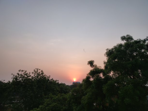 日出在绿色和美丽的天空之间。图片下载