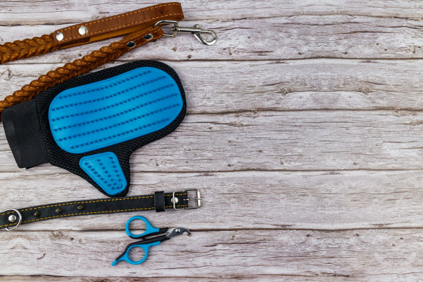 木制背景上的狗配件。蓝色橡胶美容手套，爪剪，棕色皮革皮带和尖刺项圈的狗在木制背景。俯视图，复制空间。宠物护理的概念图片下载