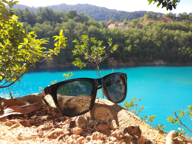 在蓝色湖岸的一棵树的根部戴着一副时髦的太阳镜图片下载