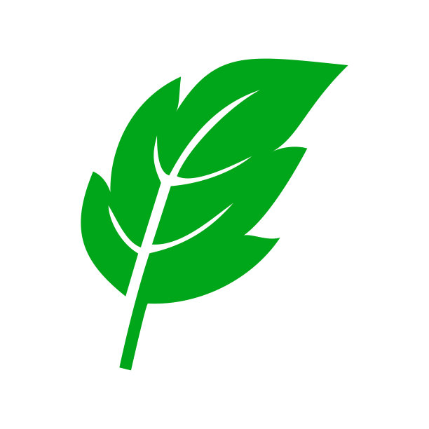 绿色自然的叶子。叶子图标形状在现代的平面风格图片下载