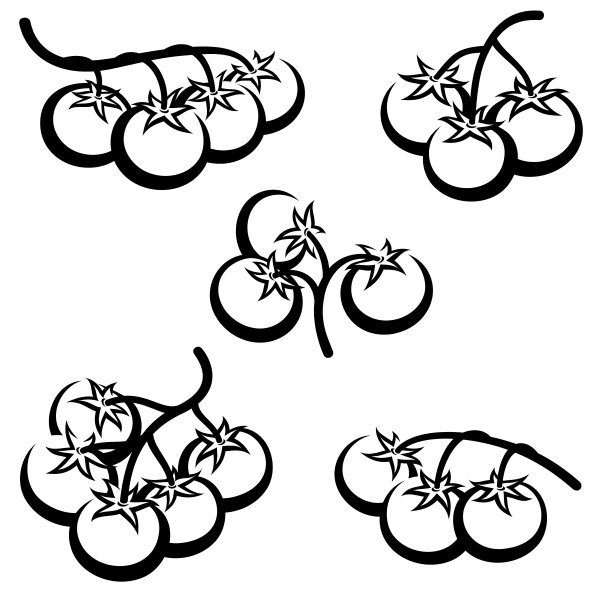 番茄。收藏图标番茄。向量图片下载