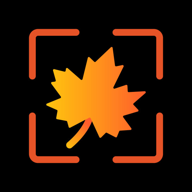 抽象单个枫叶图标。方框中的孤立符号。黑色背景上的向量。图片下载