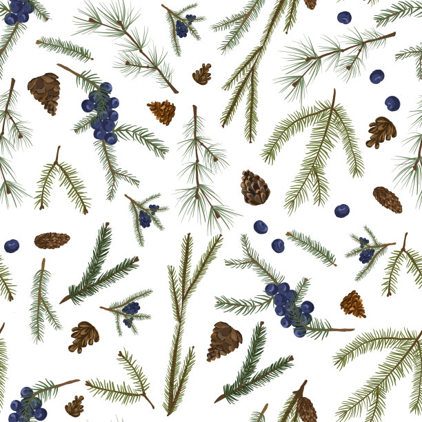 无缝的打印。松树，圣诞树树枝，蓝莓图片下载