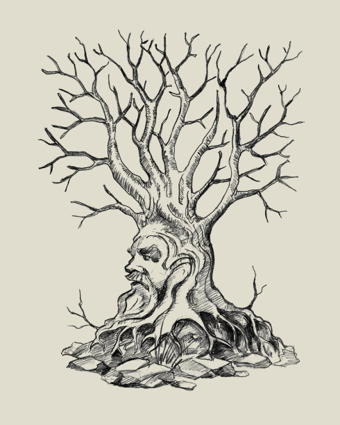 一棵老而不快乐的树。铅笔素描。图片下载