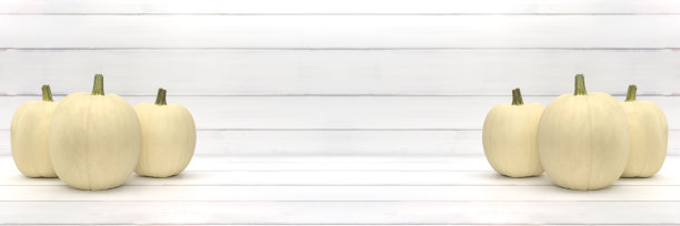 白色木质背景上的一组白色南瓜。万圣节和感恩节图片下载