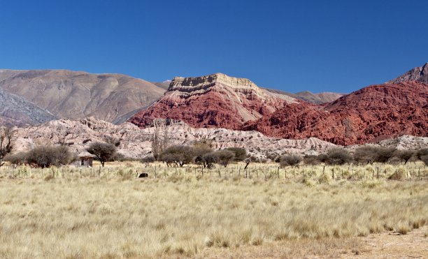 阿根廷北部萨尔塔附近的多彩山脉图片下载