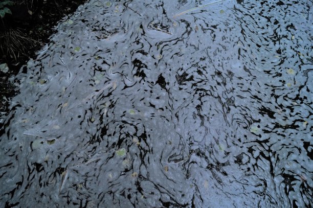 罕见的湖面泡沫图案图片下载