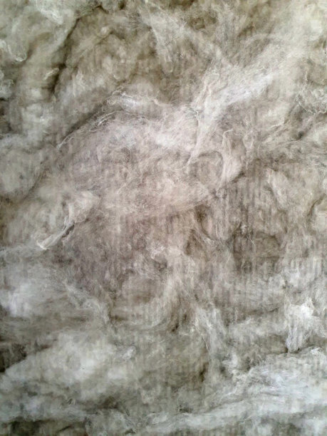 石羊毛贴在墙上，纹理分明图片下载