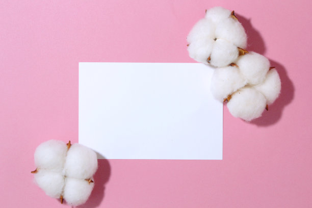 环保的概念。前视图。本空间图片下载