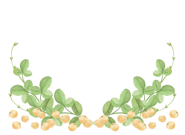 水彩大豆叶子图片下载