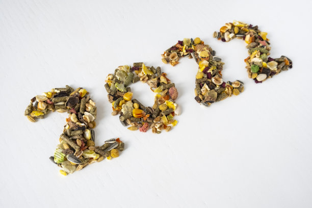 2022啮齿动物食品图片下载