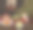 一个年轻的女孩躺在床上看书图片下载