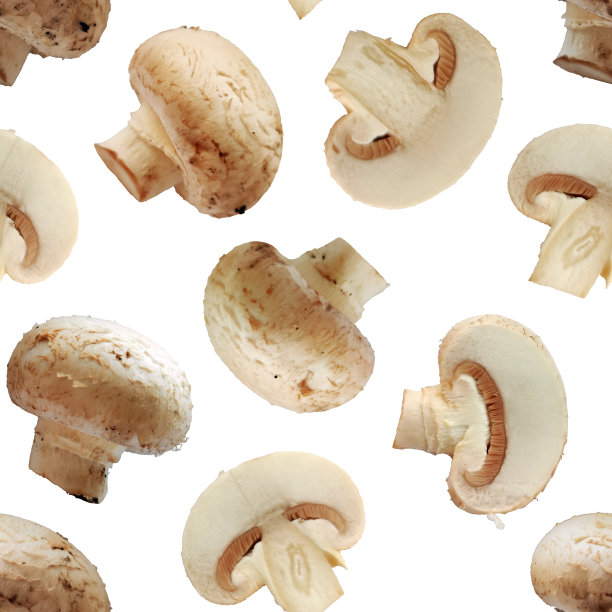 香菇植物食物微距照片无缝图案纹理背景图片下载