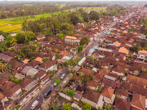在巴厘岛的乌布，天空中热带树木之间的褐橙色瓦屋顶上有许多别墅。阳光照在他们身上。天线水平照片图片下载