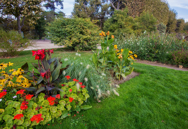 巴黎秋天的植物花园(植物学)中令人惊叹的混合板。橙色和黄色的秋天花园的多年生植物图片下载