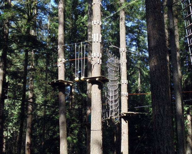 Zip线课程图片下载