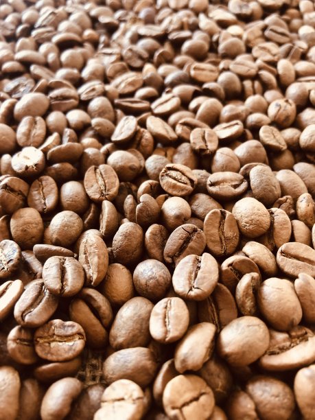 咖啡豆图片下载