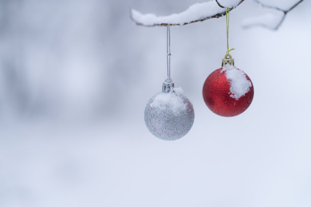 圣诞节的白色背景图片下载