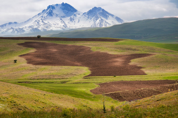 美丽的大自然图片下载