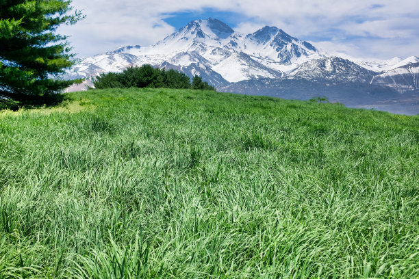 自然美图片下载