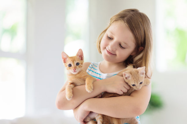 小孩抱着小猫。孩子和宠物图片下载