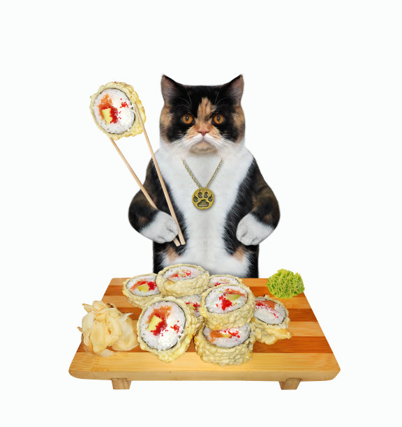 猫色吃木制托盘上的热面包卷图片下载