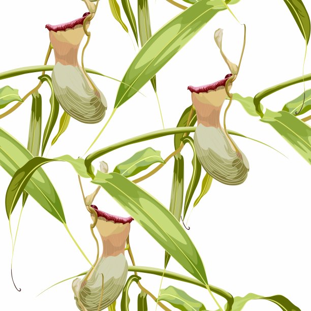 热带无缝模式。夏天打印。丛林雨林。忘忧草，食肉植物的属。猴子杯奇异的藤本植物。无缝花卉图案与异国情调的花朵和棕榈叶。图片下载