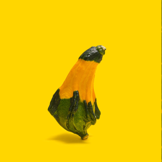 有趣的形状的葫芦蔬菜在黄色的背景。最小的安排图片下载