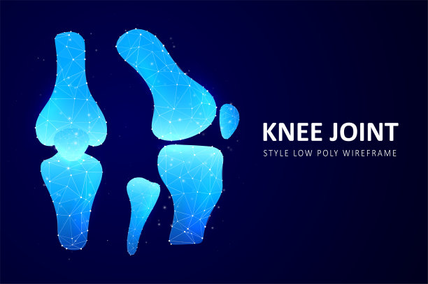 摘要多边形膝关节图片下载
