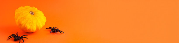 关闭横幅装饰黄色小万圣节南瓜模型模板白色框架木制边界和黑色恐怖蜘蛛在橙色的左边模糊的背景与复制空间。秋天节日的概念图片下载