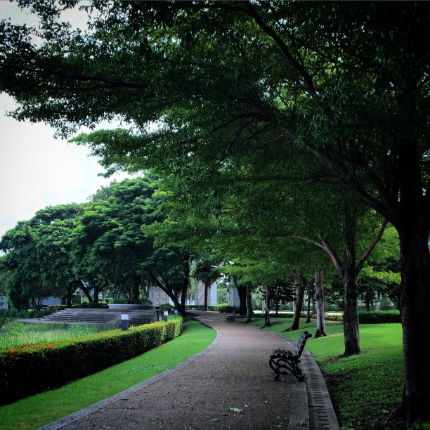 在泰国曼谷私人公园的椅子放松图片下载