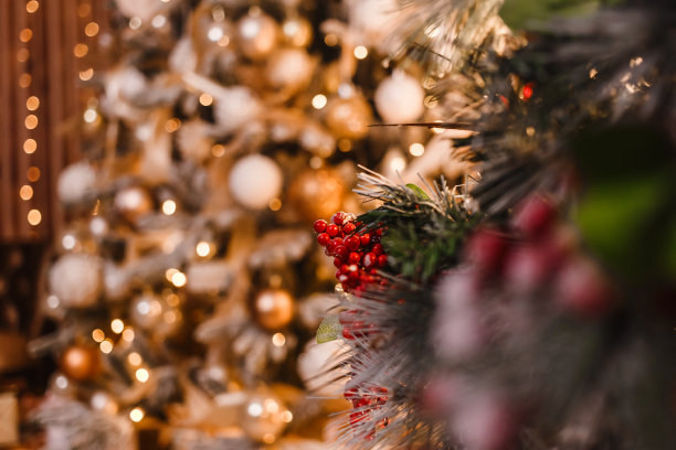 背景中的圣诞树模糊不清图片下载