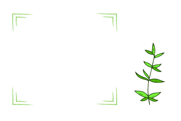 模板框架手绘植物。简单的植物旗帜，卡片，画线，极简主义。图片下载