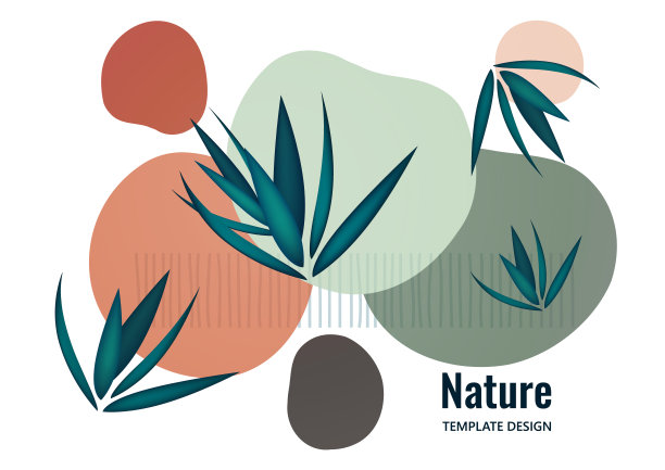 创意流动重叠形状，棕榈叶。天然产品的封面。时尚艺术的封面，海报，互联网，页面，社会，媒体，明信片。向量图片下载