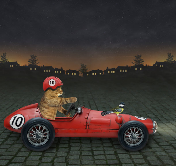 猫开着复古的红色跑车2图片下载