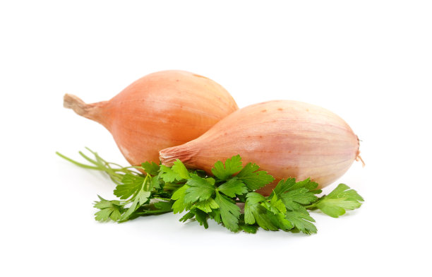 黄洋葱配绿欧芹。图片下载