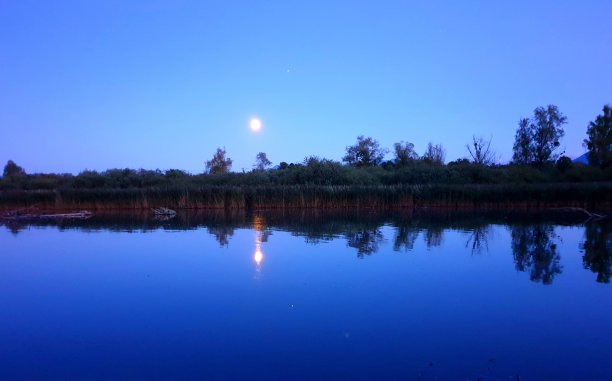 明月映在湖岸图片下载