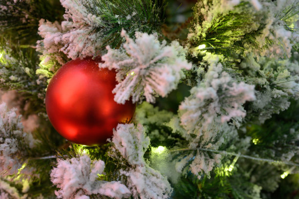 圣诞节的背景图片下载