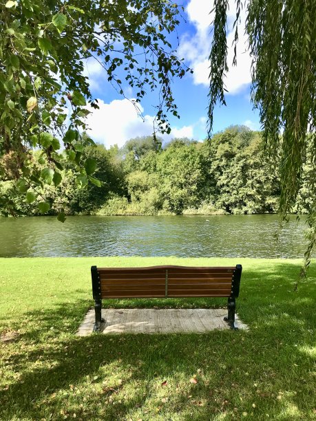 兰尼米德公园图片下载