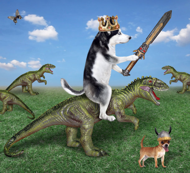 狗哈士奇国王与剑骑雷克斯2图片下载